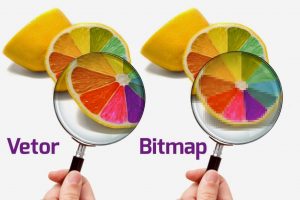Qual é a diferença entre arquivos Bitmap e Vetor?