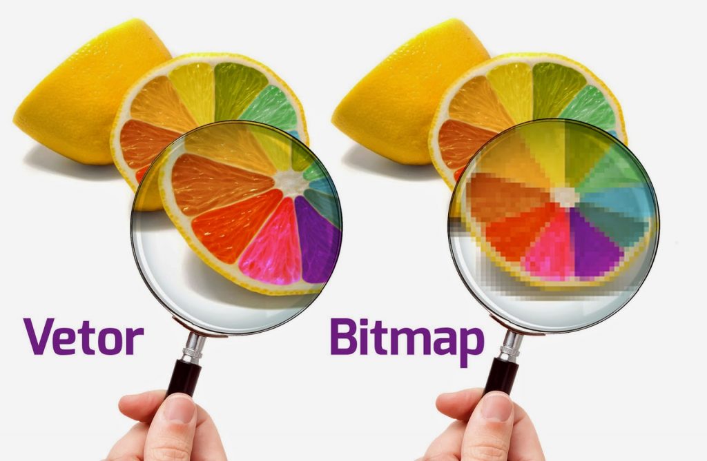 Qual é a diferença entre arquivos Bitmap e Vetor?