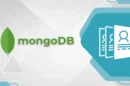 O que é o mongoDB